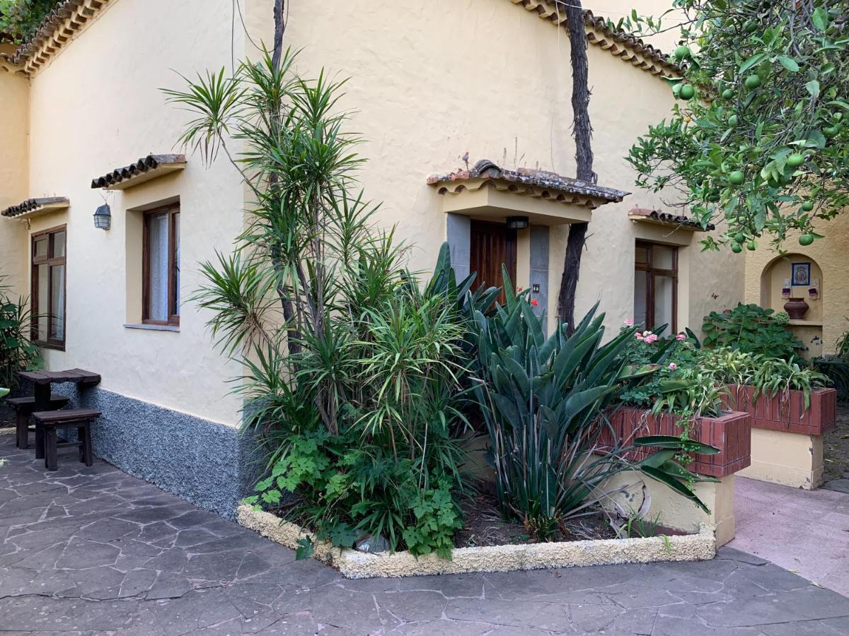 Casa Rural De Tio Felix Vega de San Mateo Ngoại thất bức ảnh