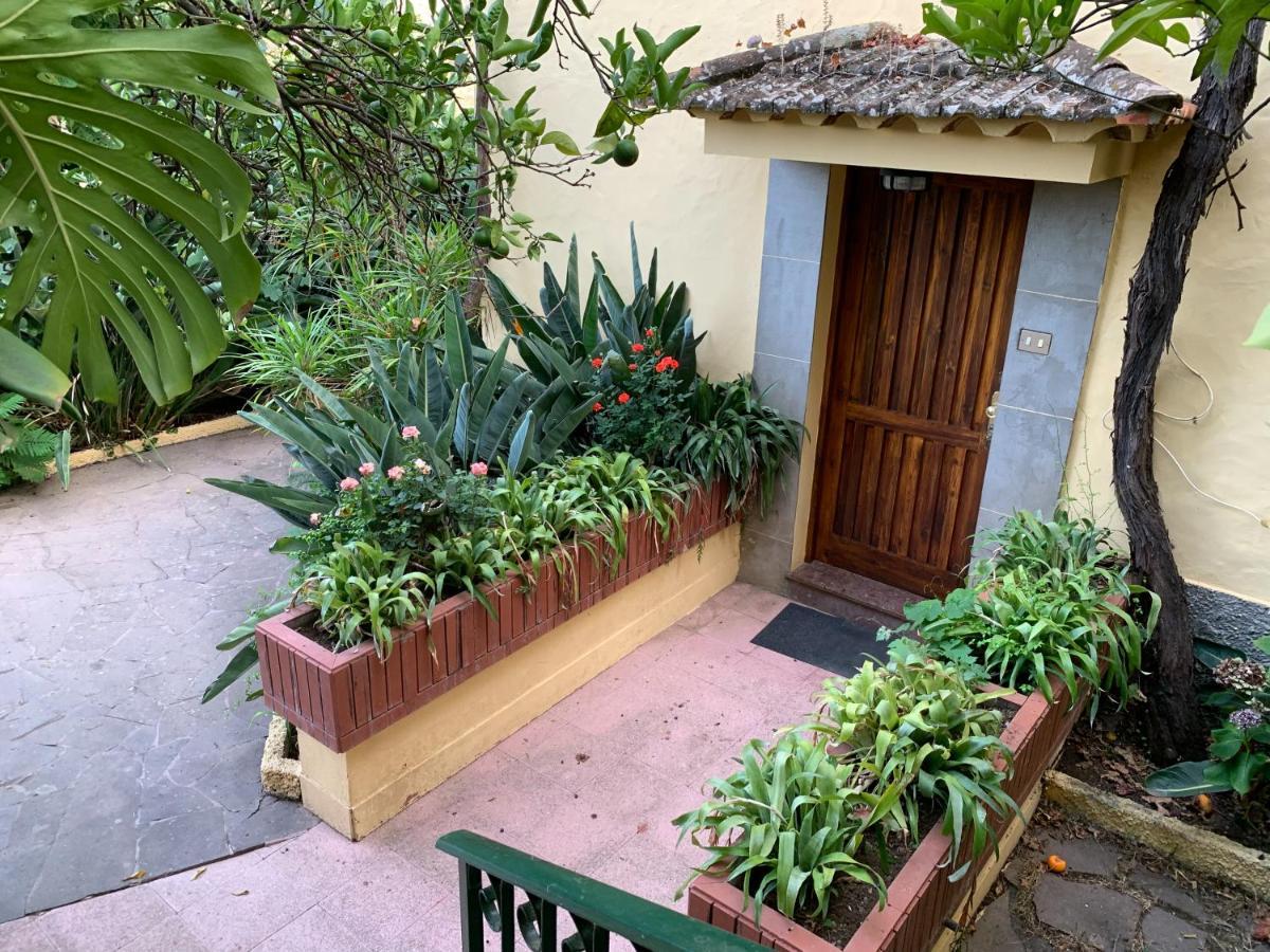 Casa Rural De Tio Felix Vega de San Mateo Ngoại thất bức ảnh