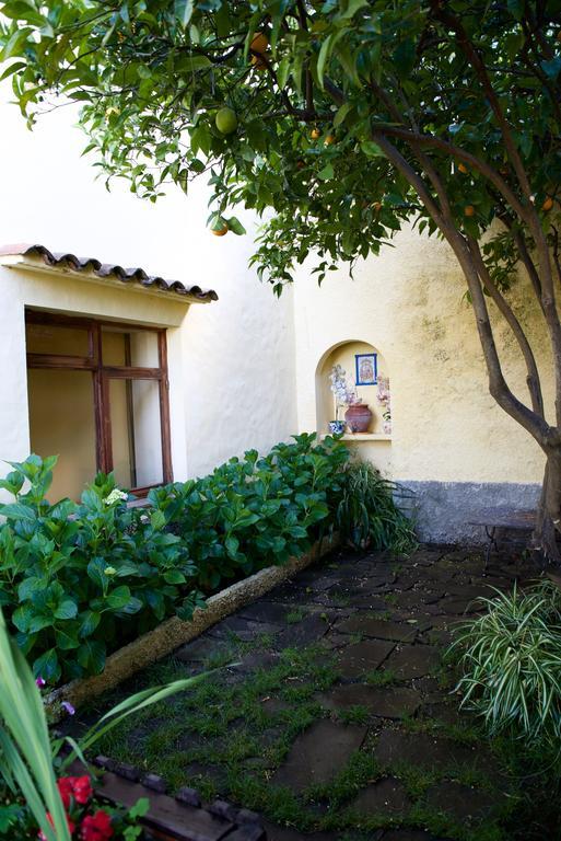 Casa Rural De Tio Felix Vega de San Mateo Ngoại thất bức ảnh