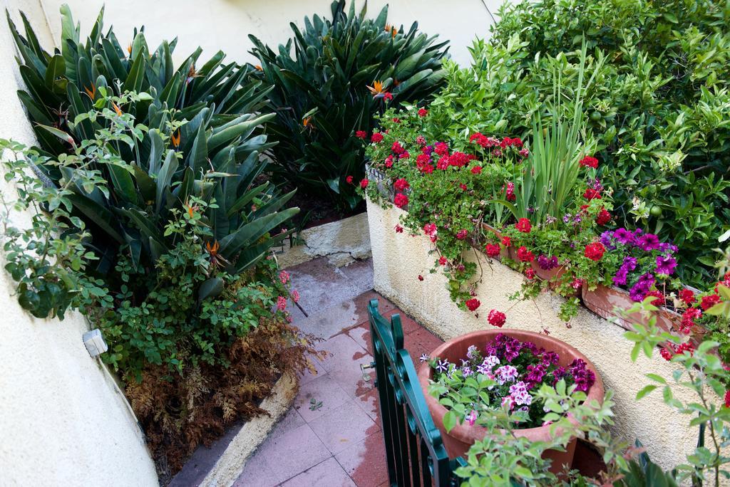 Casa Rural De Tio Felix Vega de San Mateo Ngoại thất bức ảnh