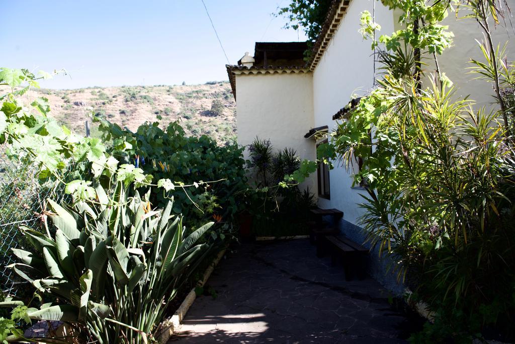 Casa Rural De Tio Felix Vega de San Mateo Ngoại thất bức ảnh