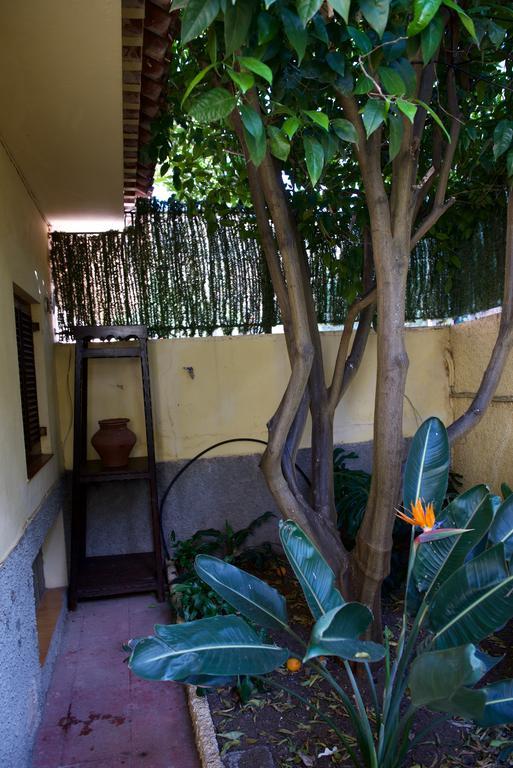 Casa Rural De Tio Felix Vega de San Mateo Ngoại thất bức ảnh