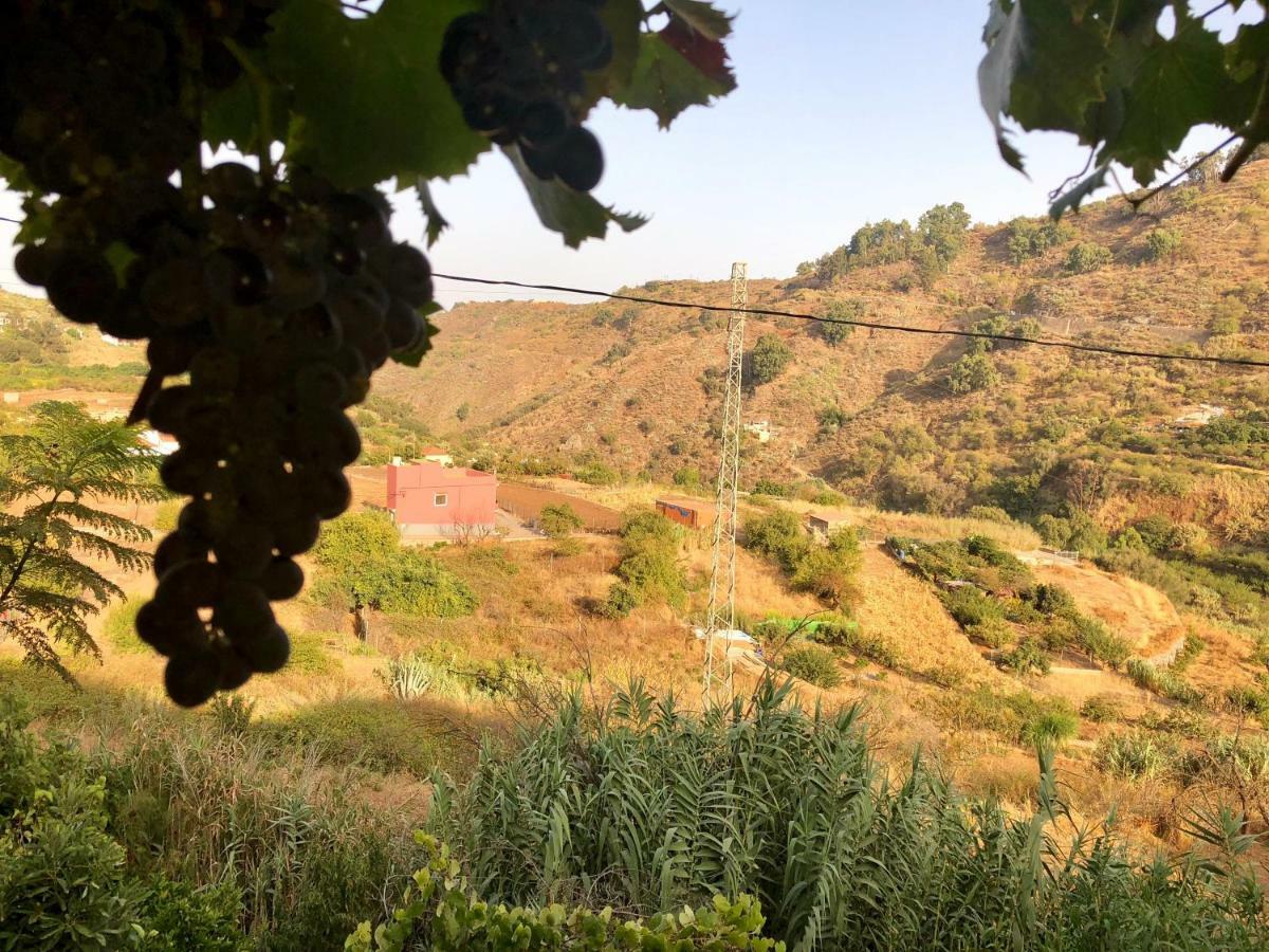 Casa Rural De Tio Felix Vega de San Mateo Ngoại thất bức ảnh